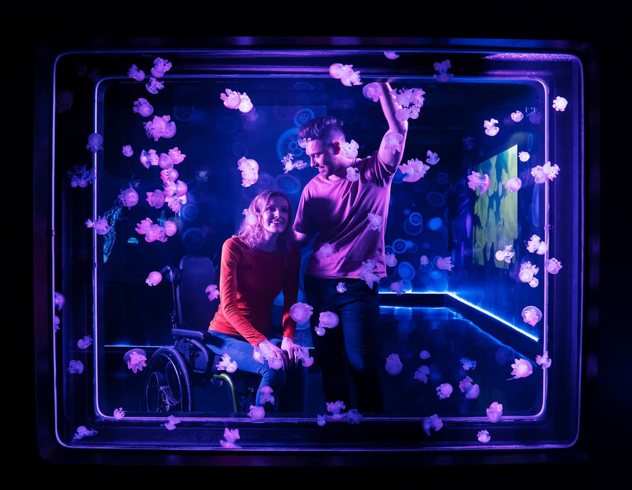 COMBO: SEA LIFE London Aquarium + FREE Hubby eSim - image 8